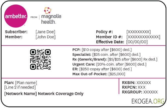 Carte d'assurance maladie du Mississippi